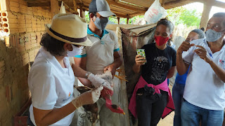 Famílias agricultoras de Serra do Ramalho participam de curso sobre criação de galinhas caipiras