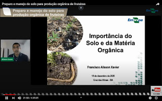 Agricultura familiar da Bahia conta com curso on-line de Fruticultura Orgânica