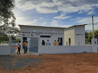 Apicultores de Brotas de Macaúbas inauguram casa de mel com venda da primeira safra