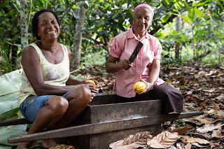 Apoio à agricultura familiar amplia horizontes para a mulher e o homem do campo na Bahia