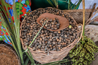 Parceria entre empreendimentos da agricultura familiar incrementa renda e valoriza a produção do licuri