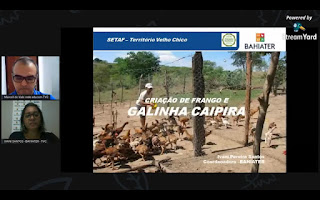 Famílias agricultoras e agentes de Ater contam com curso on-line sobre avicultura