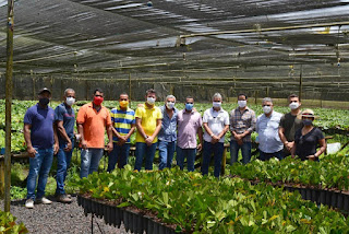 Agricultores familiares do Baixo Sul receberão mudas da Biofábrica da Bahia