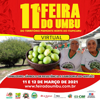 11ª Feira do Umbu do Território Piemonte Norte do Itapicuru terá sistema de delivery para garantir a comercialização