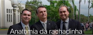 Anatomia da rachadinha