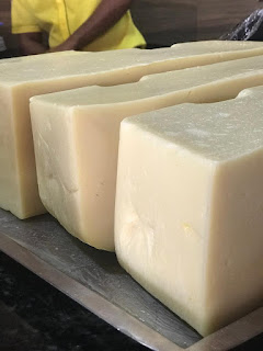 Implantação de laticínio na terra do requeijão impulsiona produção de leite em Santa Bárbara