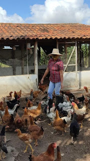 Organização associativa aliada a políticas públicas trazem resultados para famílias agricultoras de Rio Real