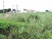 Moradores reclamam de descaso da prefeitura.