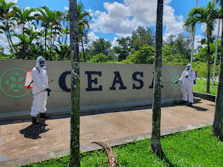 Ceasa passa por desinfecção no final de semana