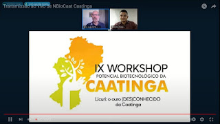 Licuri produzido na Bahia é destaque no IX Workshop Potencial Biotecnológico da Caatinga