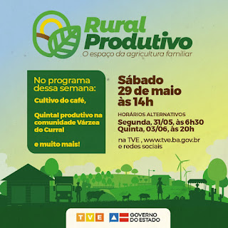 Café, mandioca, quintal produtivo e frutas no Rural Produtivo na TVE