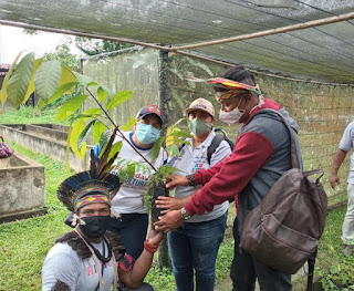 Assistência técnica transforma a vida de agricultores familiares do Sul da Bahia com produção de base agroecológica