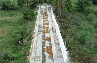 Agendha fará Seminário Estação Ecológica Raso da Catarina