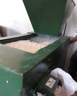 Unidade de beneficiamento da mandioca vai gerar renda para agricultores familiares de Angical