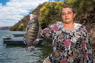 Unidade de beneficiamento de pescados vai beneficiar piscicultores de Paulo Afonso e região
