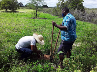 Agricultores e agricultoras familiares de comunidades rurais de Paulo Afonso passam a contar com viveiro de mudas