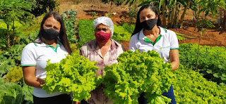 Serviço de assistência técnica promove desenvolvimento para agricultoras familiares do Sertão Produtivo