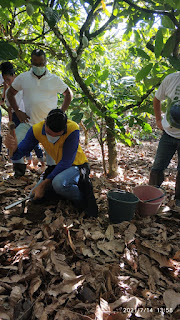 Agricultura familiar baiana conta com modalidade de assistência técnica inovadora