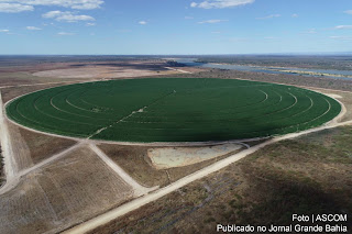 Fieb diz que Polo Agroindustrial do São Francisco desbrava novo vetor de crescimento econômico