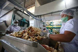 Agricultura familiar baiana vai contar com 422 agroindústrias até 2022