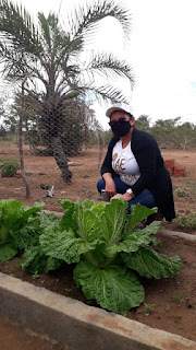 Construção de barreiros garantem segurança hídrica e alimentar para agricultores familiares de Campo Formoso