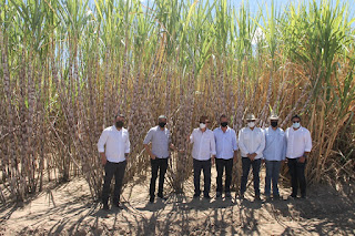 Empresários do ramo de fertilizantes líquidos e etanol conhecem potencial do Polo Agroindustrial baiano