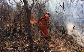 Bombeiros atuam nos incêndios florestais em Pilão Arcado e Campo Alegre de Lourdes