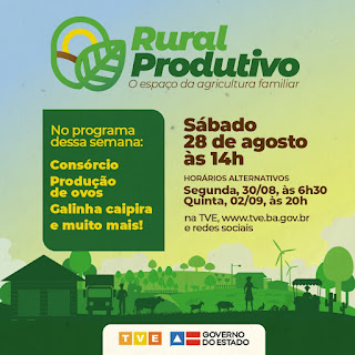 Consórcio, produção de ovos e galinha caipira no Rural Produtivo