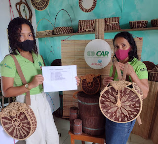 Valorização da piaçava garante renda para agricultores familiares do Baixo Sul da Bahia
