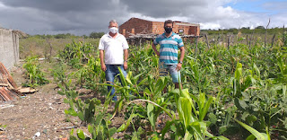Comunidade do Semiárido vem se desenvolvendo com o fortalecimento da Ovinocaprinocultura