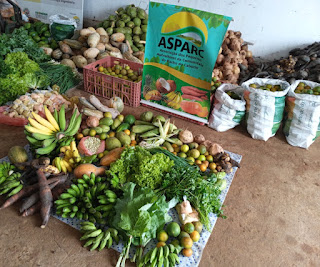 Agricultores e agricultoras familiares de Tancredo Neves comercializam alimentos para programa institucional