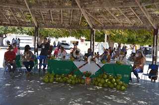 Comunidade Indígena Tuxá se prepara para lançar óleo de coco no mercado