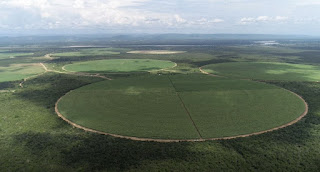 PIB do Agro cresce 8,5% e governo baiano comemora resultados