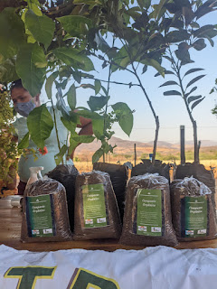 Agricultores familiares do Território Sertão Produtivo participam da ação Adote uma Árvore
