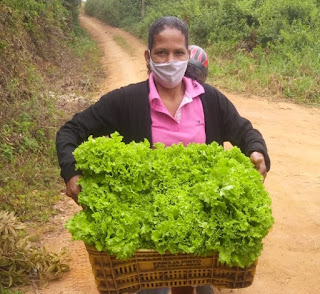 Agricultores do Vale do Jiquiriçá vendem produção para o PAA pela primeira vez