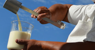 PAA Leite gera renda e muda a vida dos agricultores familiares de Jussara