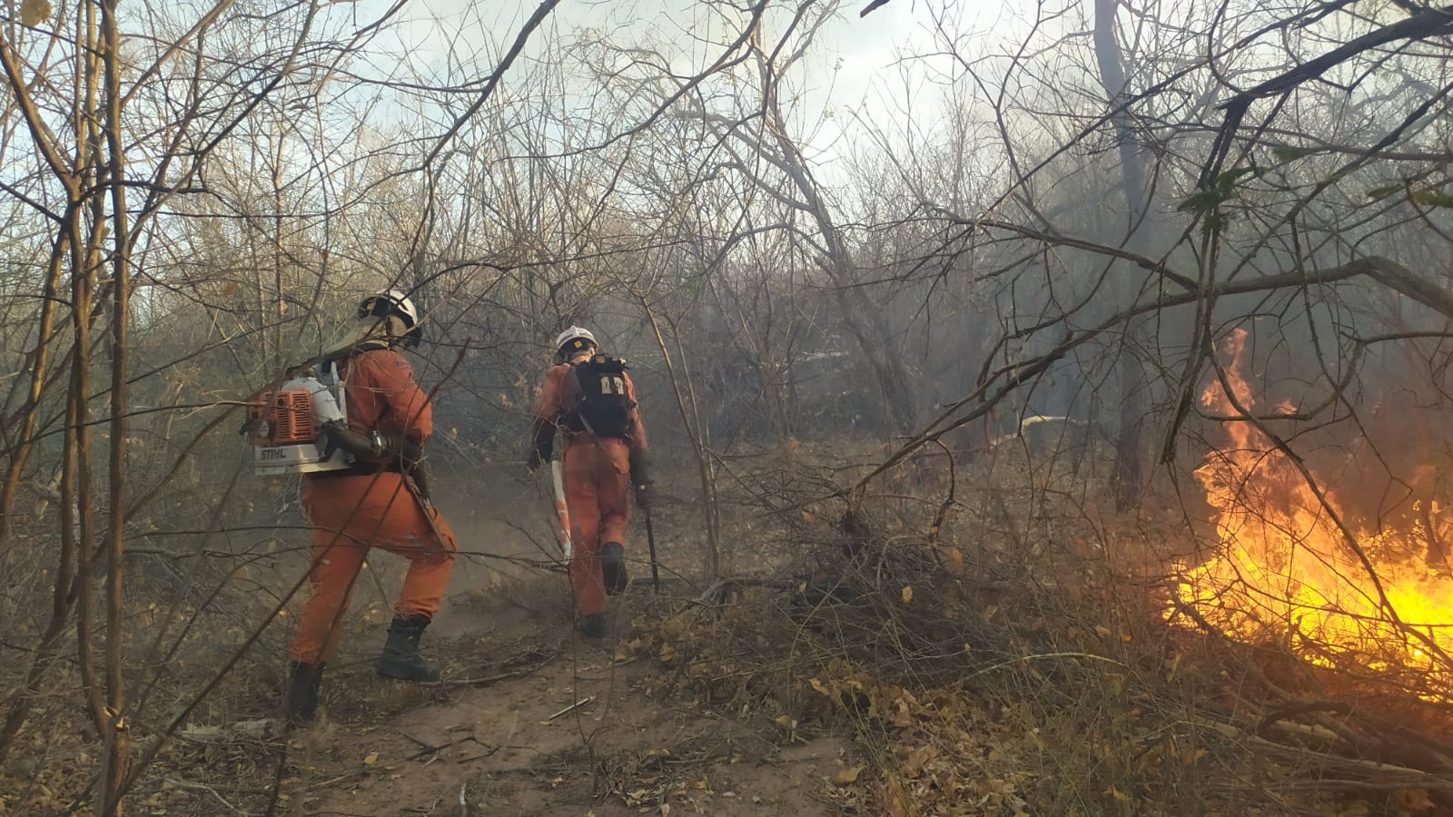 Bombeiros atuam no combate a incêndios em três regiões da Bahia