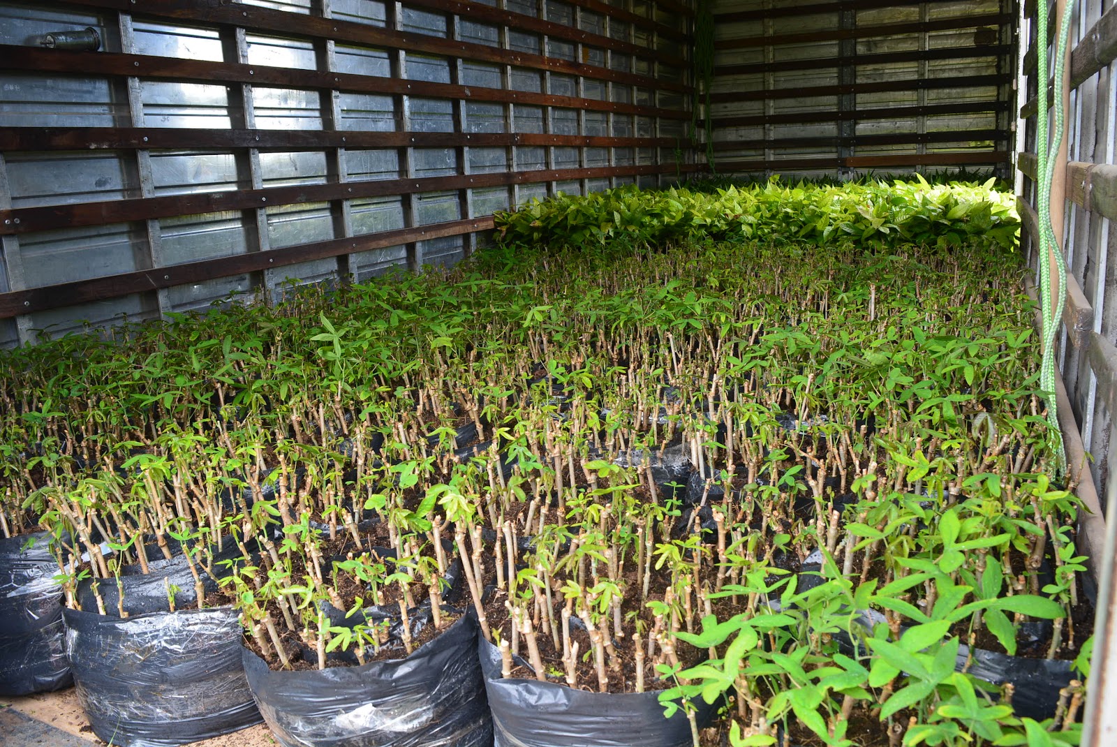 Novas soluções financeiras são lançadas para a agricultura familiar baiana