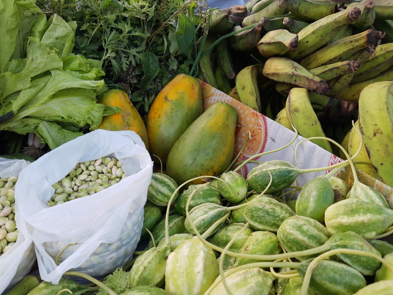 Agricultura Familiar é destaque no Festival Sabores de Itacaré que iniciou nesta quinta-feira (14)
