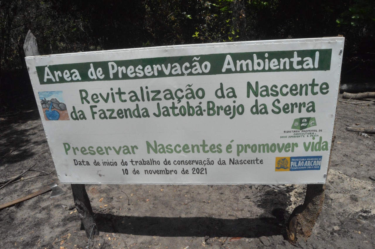 Pilão Arcado dá exemplo e inicia processo de revitalização de nascentes