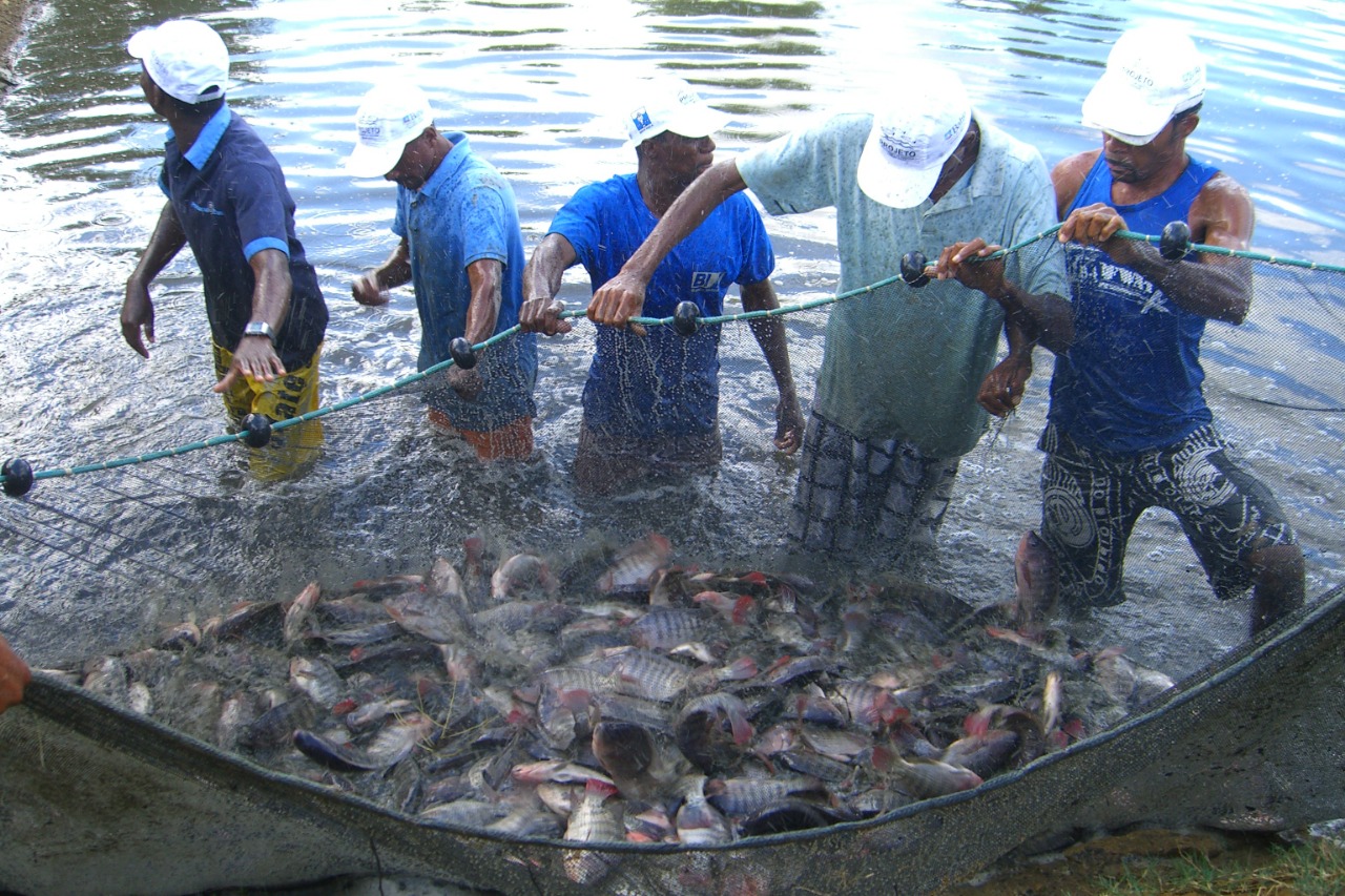 Palestra aborda etapas do licenciamento ambiental na aquicultura