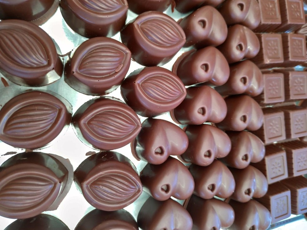 Governo apresenta metodologia de estudo sobre cadeia produtiva do chocolate