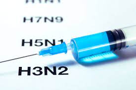 Com nove casos de H3N2, Bahia ainda não vive surto da doença; confira principais dúvidas