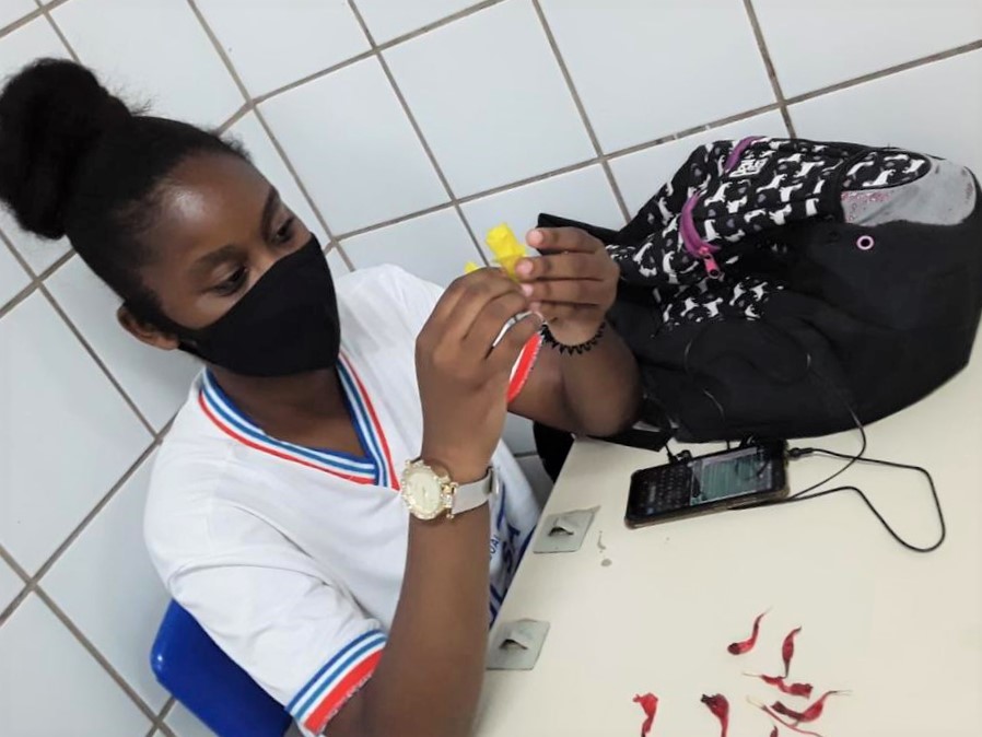 Estudantes da rede estadual realizam projeto sobre as propriedades das plantas medicinais