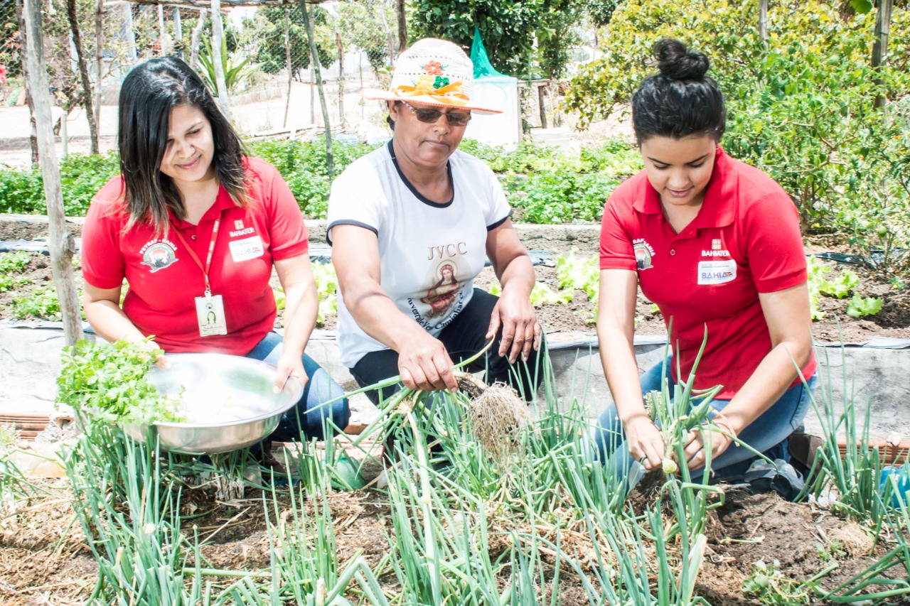 Mais de 169 mil agricultores baianos contam com o benefício do Garantia-Safra 