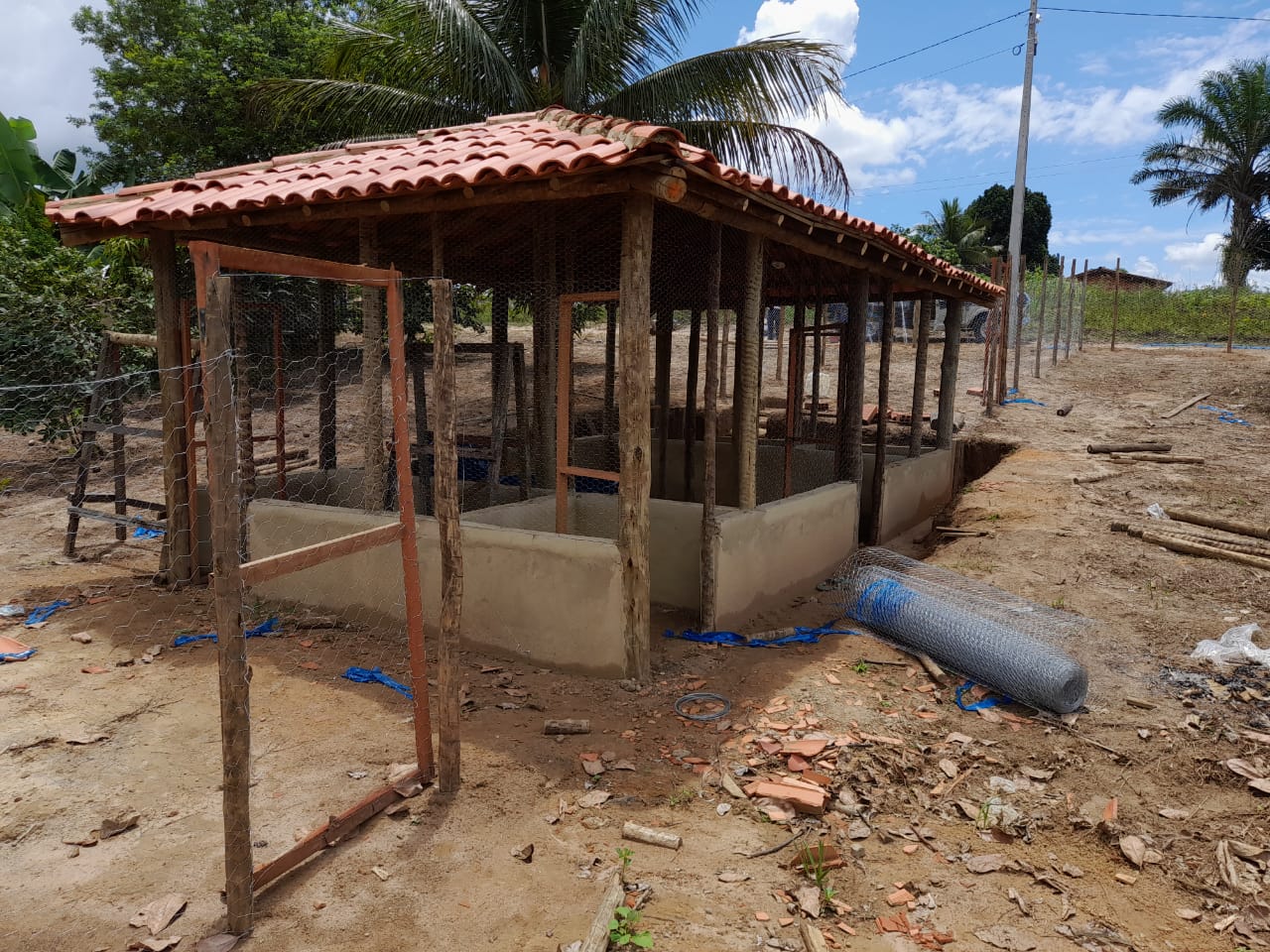  Criação de galinhas caipiras leva perspectiva de renda para agricultores de Pedrão 