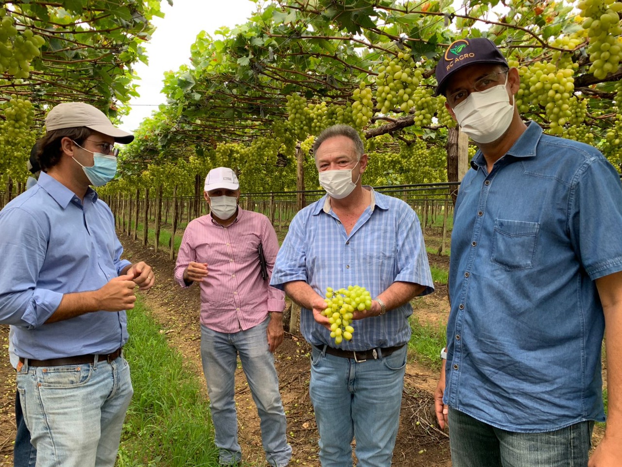 Investidor do Oriente Médio se impressiona com potencial sucroenergético e viticultor da Bahia