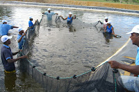 Secretários municipais debatem desafios da pesca e da aquicultura