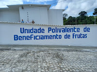 Governo do Estado inaugura unidade de beneficiamento de frutas e anuncia construção de laticínio no Baixo Sul