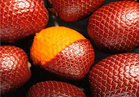 Agroindústria de beneficiamento de buriti será inaugurada nesta sexta (25) em Pilão Arcado